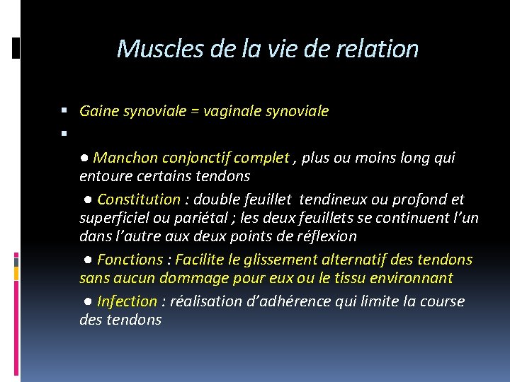 Muscles de la vie de relation Gaine synoviale = vaginale synoviale ● Manchon conjonctif