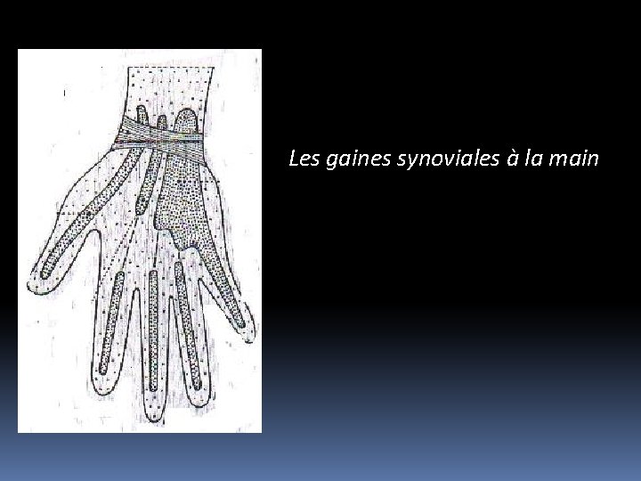 Les gaines synoviales à la main 