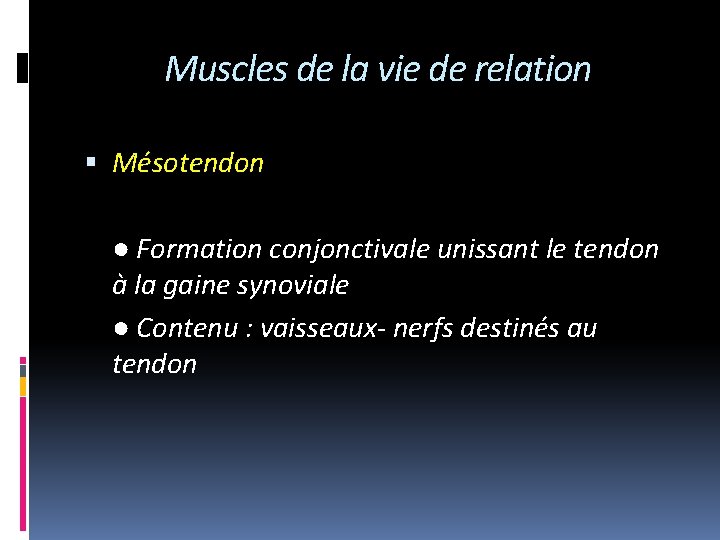 Muscles de la vie de relation Mésotendon ● Formation conjonctivale unissant le tendon à