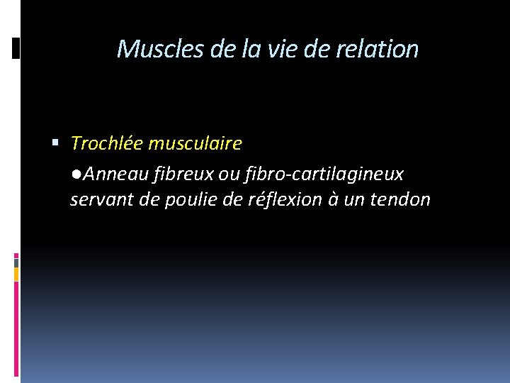 Muscles de la vie de relation Trochlée musculaire ●Anneau fibreux ou fibro-cartilagineux servant de