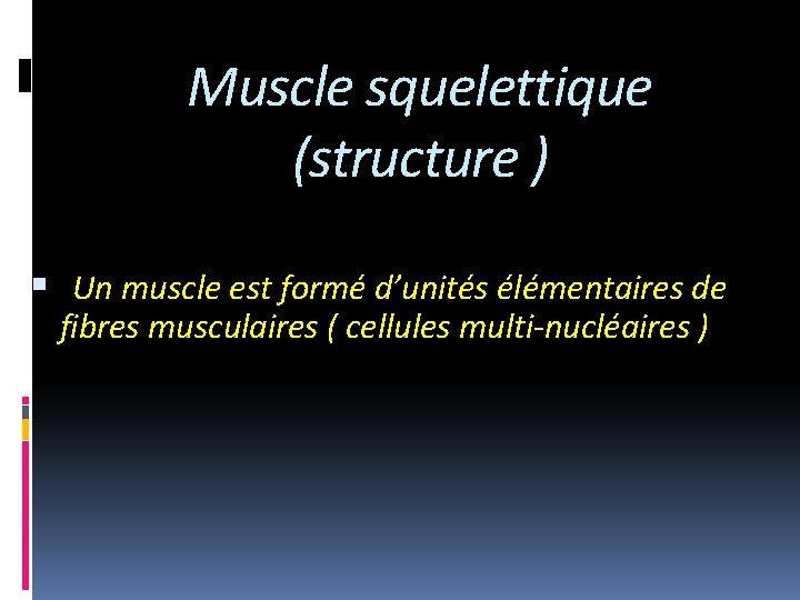 Muscle squelettique (structure ) Un muscle est formé d’unités élémentaires de fibres musculaires (
