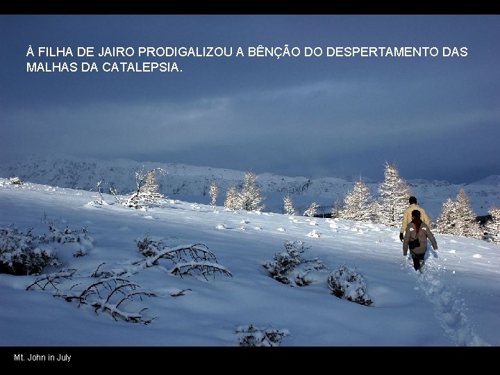 À FILHA DE JAIRO PRODIGALIZOU A BÊNÇÃO DO DESPERTAMENTO DAS MALHAS DA CATALEPSIA. Mt.