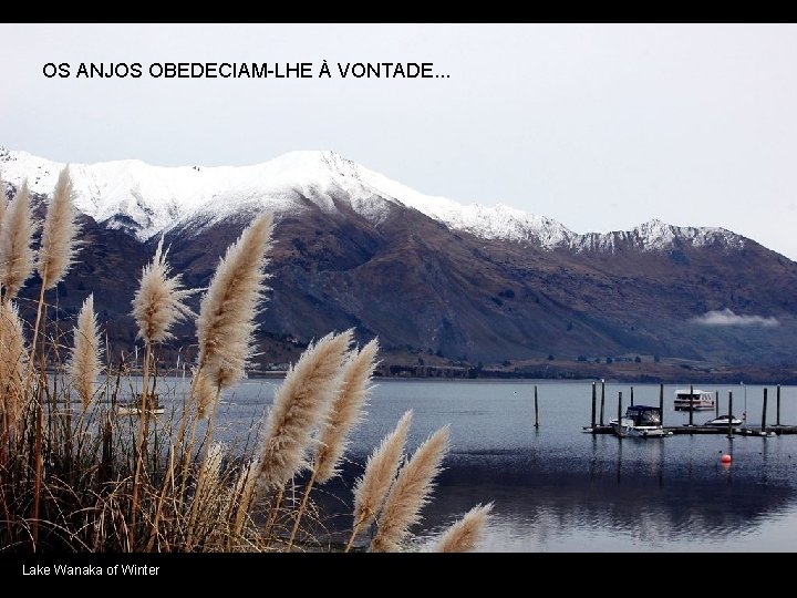 OS ANJOS OBEDECIAM-LHE À VONTADE. . . Lake Wanaka of Winter 