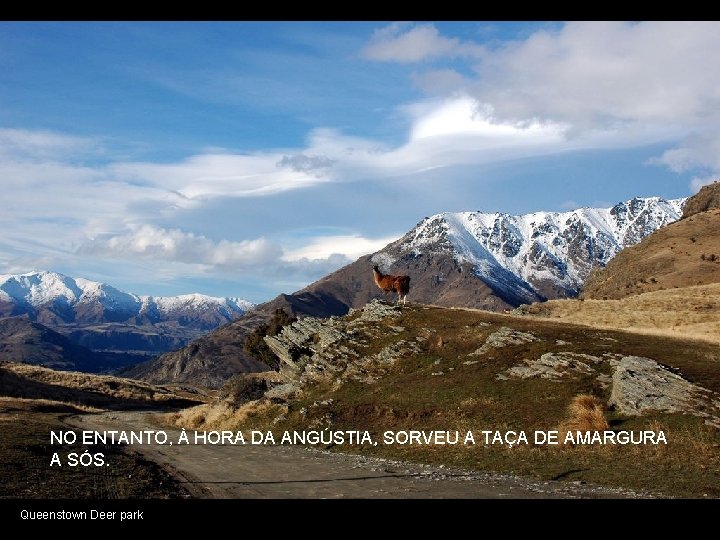 NO ENTANTO, À HORA DA ANGÚSTIA, SORVEU A TAÇA DE AMARGURA A SÓS. Queenstown