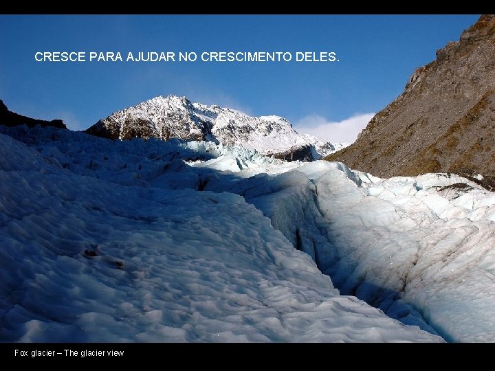 CRESCE PARA AJUDAR NO CRESCIMENTO DELES. Fox glacier – The glacier view 