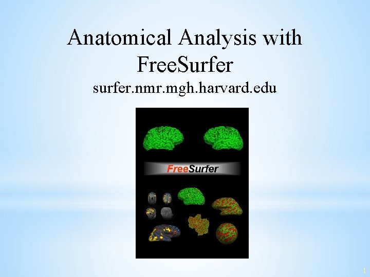 Anatomical Analysis with Free. Surfer surfer. nmr. mgh. harvard. edu 1 