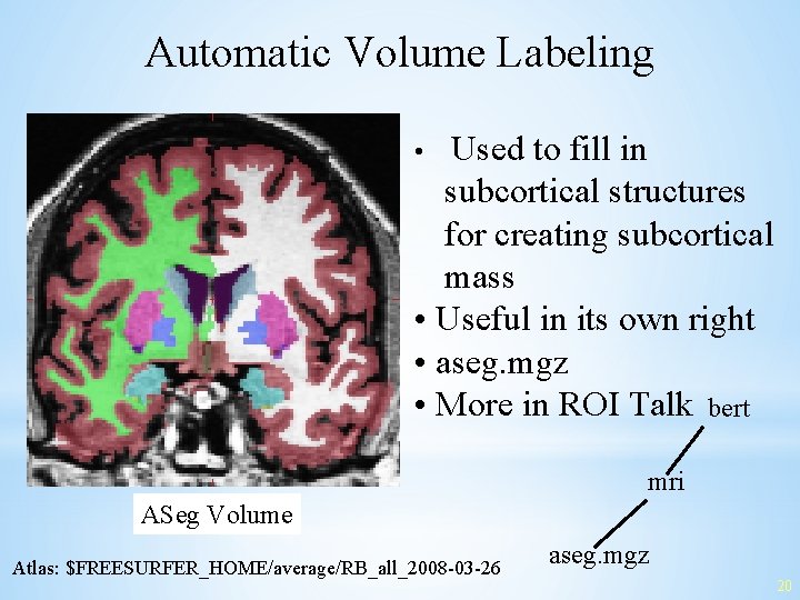 Automatic Volume Labeling Used to fill in subcortical structures for creating subcortical mass •