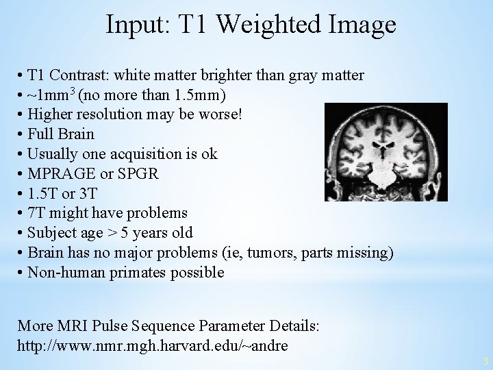 Input: T 1 Weighted Image • T 1 Contrast: white matter brighter than gray