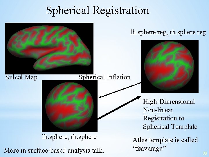 Spherical Registration lh. sphere. reg, rh. sphere. reg Sulcal Map Spherical Inflation High-Dimensional Non-linear