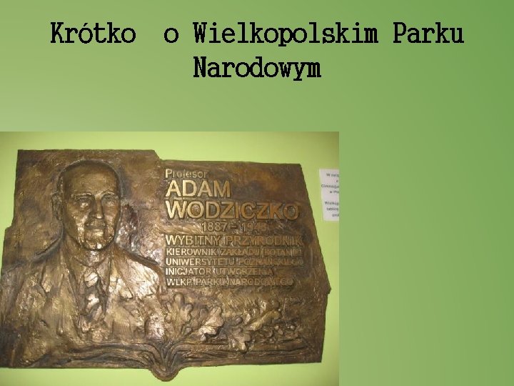 Krótko o Wielkopolskim Parku Narodowym 