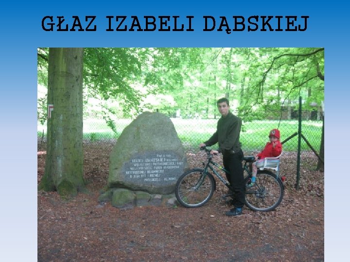GŁAZ IZABELI DĄBSKIEJ 