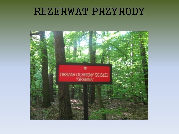 REZERWAT PRZYRODY 