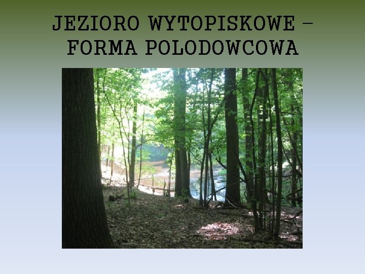 JEZIORO WYTOPISKOWE – FORMA POLODOWCOWA 