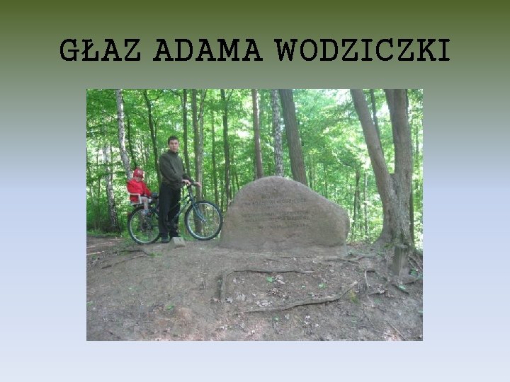 GŁAZ ADAMA WODZICZKI 