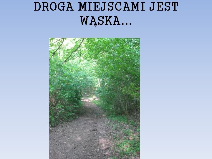 DROGA MIEJSCAMI JEST WĄSKA. . . 