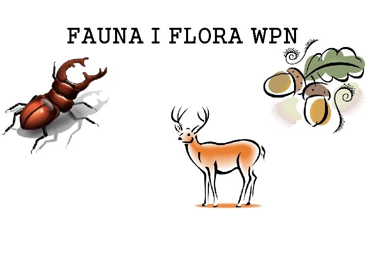 FAUNA I FLORA WPN 