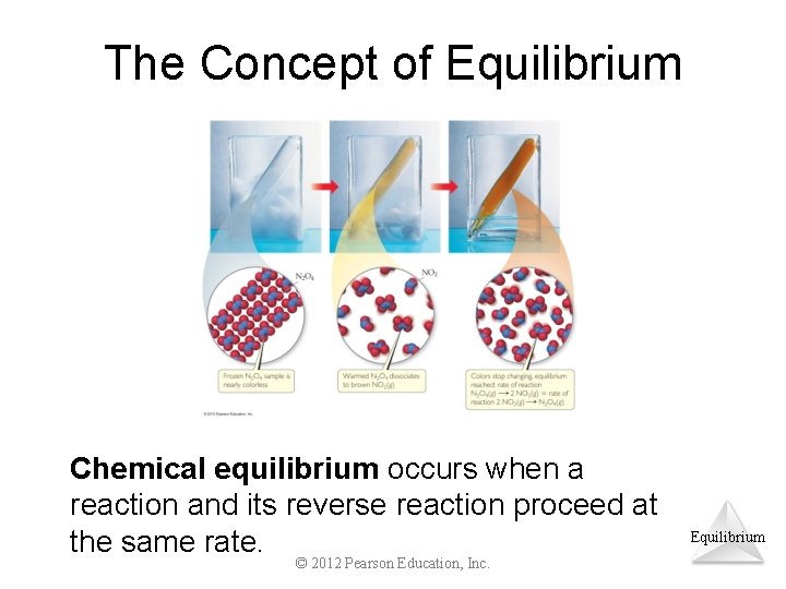 The Concept of Equilibrium Chemical equilibrium occurs when a reaction and its reverse reaction