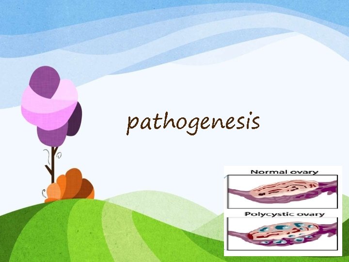 pathogenesis 