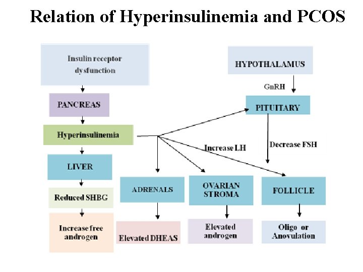 Relation of Hyperinsulinemia and PCOS 