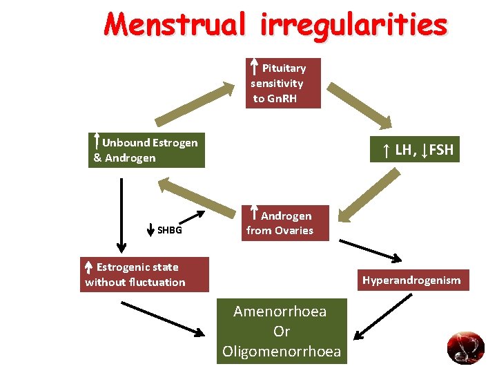 Menstrual irregularities Pituitary sensitivity to Gn. RH Unbound Estrogen & Androgen SHBG ↑ LH,