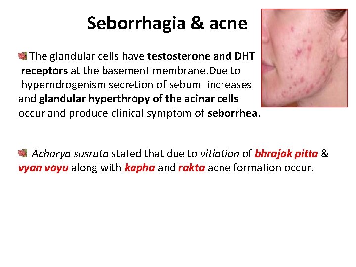 Seborrhagia & acne The glandular cells have testosterone and DHT receptors at the basement