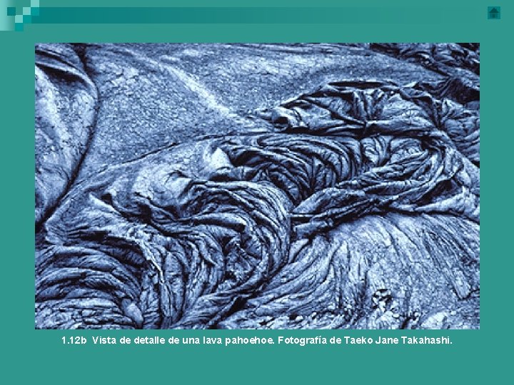 1. 12 b Vista de detalle de una lava pahoehoe. Fotografía de Taeko Jane