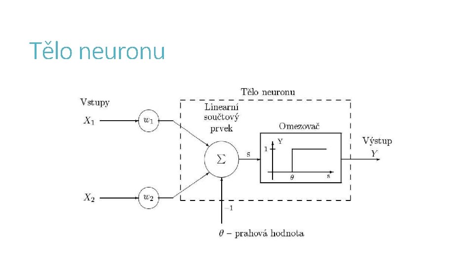 Tělo neuronu 