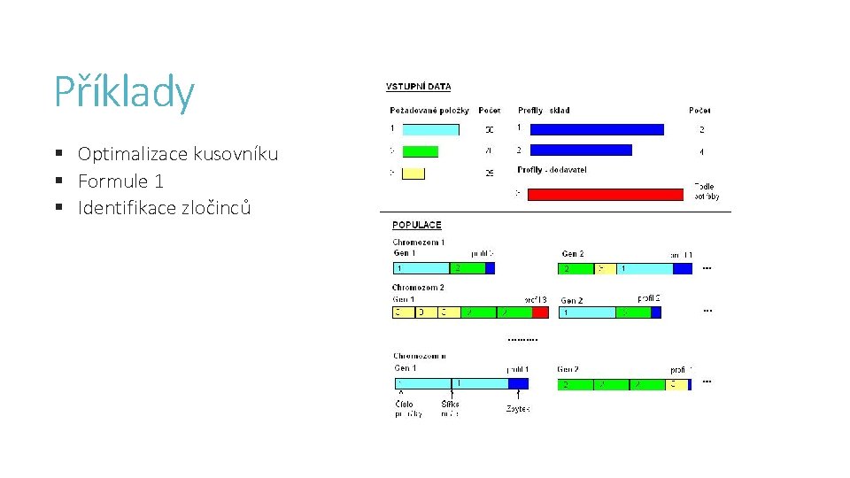 Příklady § Optimalizace kusovníku § Formule 1 § Identifikace zločinců 