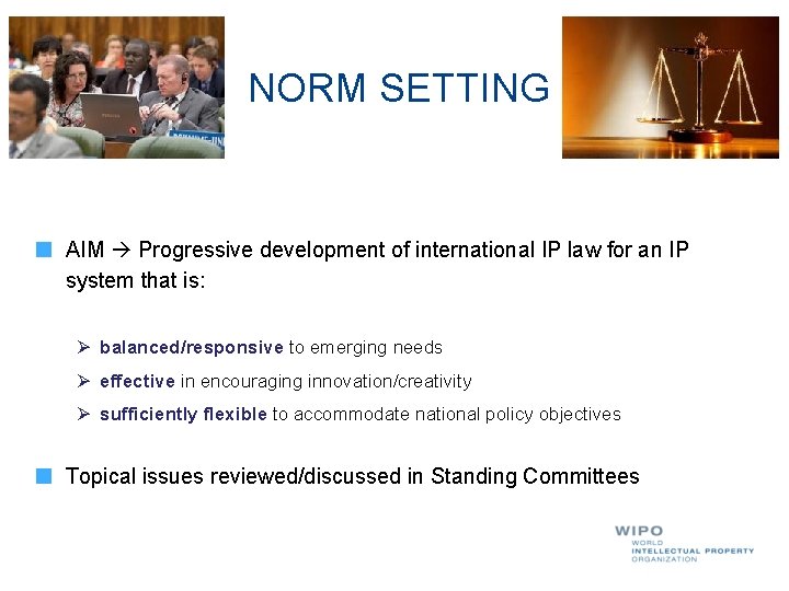 NORM SETTING AIM Progressive development of international IP law for an IP system that