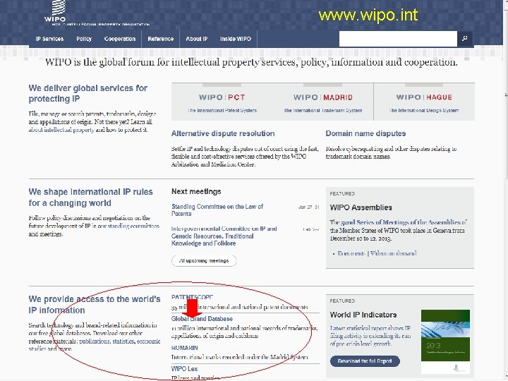 www. wipo. int 