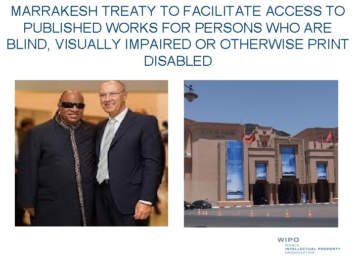 MARRAKESH TREATY TO FACILITATE ACCESS TO PUBLISHED WORKS FOR PERSONS WHO ARE BLIND, VISUALLY