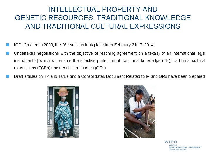 INTELLECTUAL PROPERTY AND GENETIC RESOURCES, TRADITIONAL KNOWLEDGE AND TRADITIONAL CULTURAL EXPRESSIONS IGC: Created in