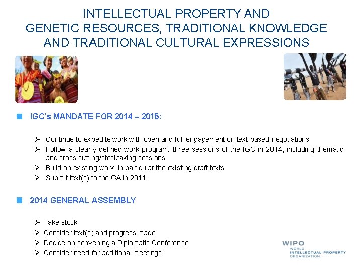 INTELLECTUAL PROPERTY AND GENETIC RESOURCES, TRADITIONAL KNOWLEDGE AND TRADITIONAL CULTURAL EXPRESSIONS IGC’s MANDATE FOR