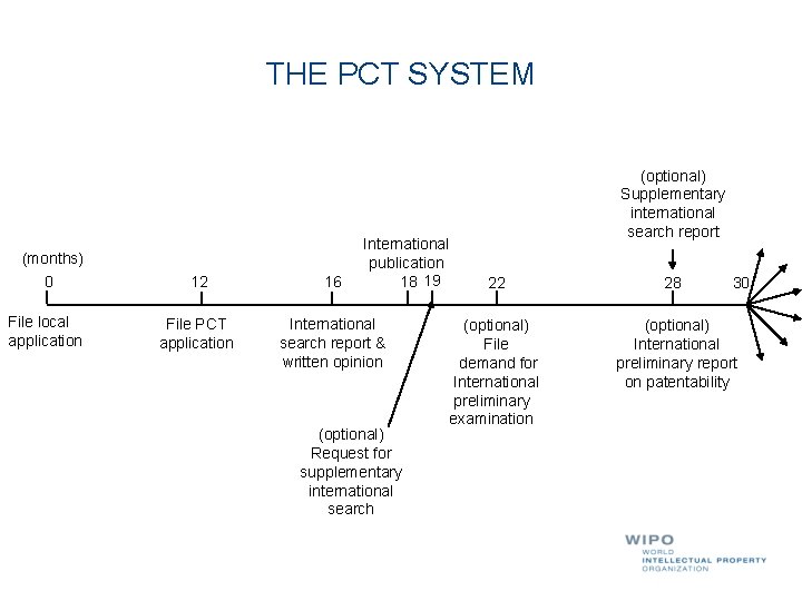 THE PCT SYSTEM (months) International publication 18 19 0 12 16 File local application