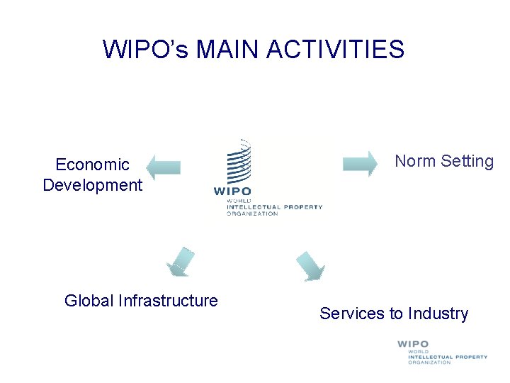 WIPO’s MAIN ACTIVITIES Economic Development Global Infrastructure Norm Setting Services to Industry 