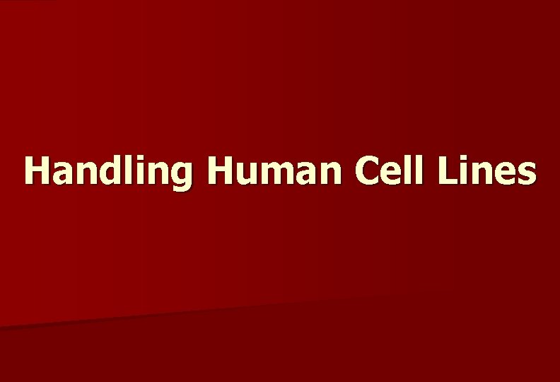 Handling Human Cell Lines 