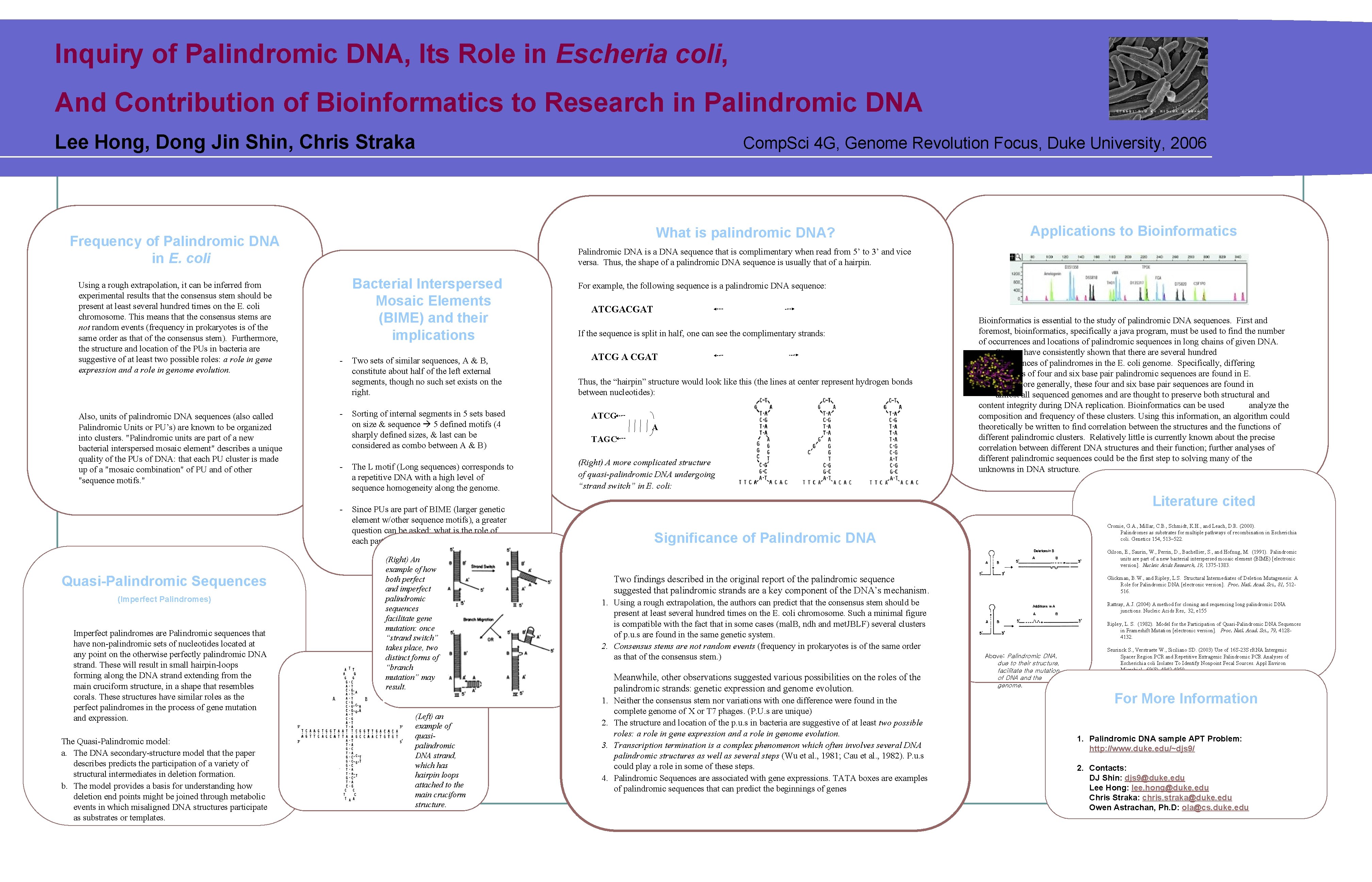 Inquiry of Palindromic DNA, Its Role in Escheria coli, And Contribution of Bioinformatics to