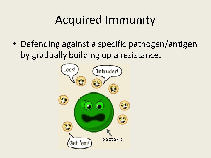 Acquired Immunity • Defending against a specific pathogen/antigen by gradually building up a resistance.