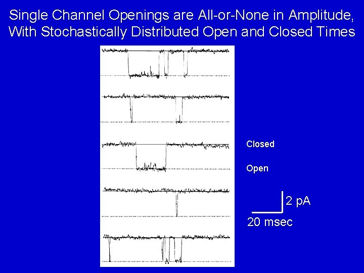Single Channel Openings are All-or-None in Amplitude, With Stochastically Distributed Open and Closed Times