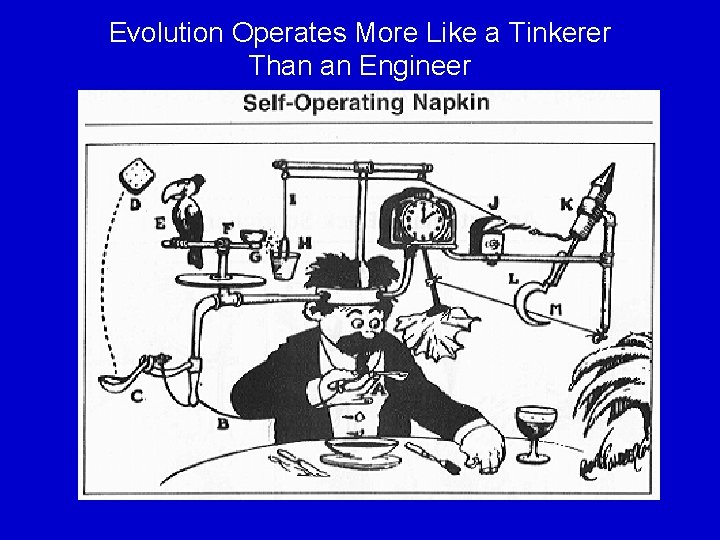 Evolution Operates More Like a Tinkerer Than an Engineer 