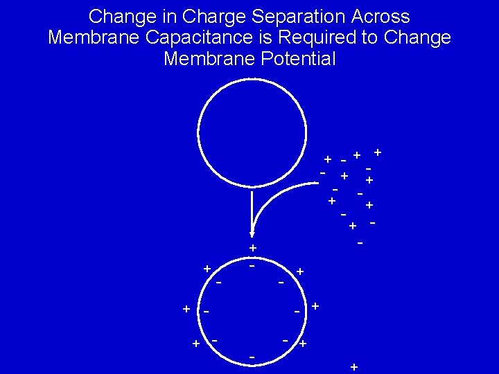 Change in Charge Separation Across Membrane Capacitance is Required to Change Membrane Potential +