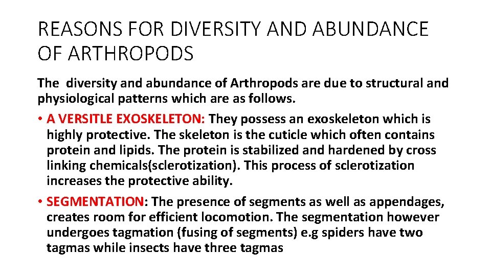 AEB 121 INVERTEBRATE ZOOLOGY PHYLUM ARTHROPODA BY MRS