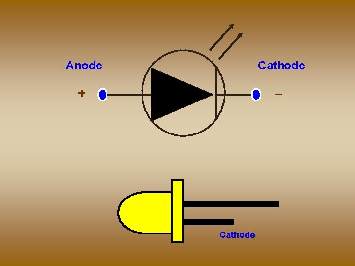 Anode Cathode + _ Cathode 