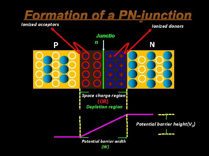 Formation of a PN-junction Ionized acceptors P Ionized donors Junctio n - - +