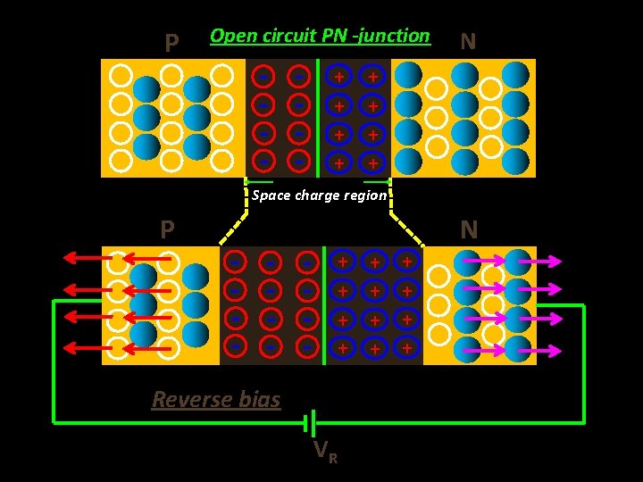 P Open circuit PN -junction - - + + N + + Space charge