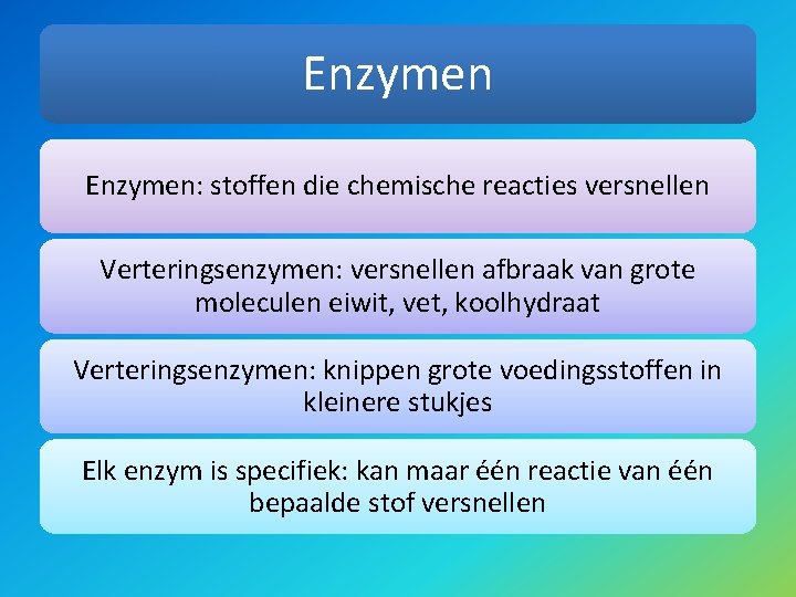 Spijsvertering door enzymen Wat zijn enzymen Voedingsmiddelen