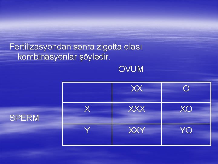 Fertilizasyondan sonra zigotta olası kombinasyonlar şöyledir. OVUM SPERM XX O X XXX XO Y