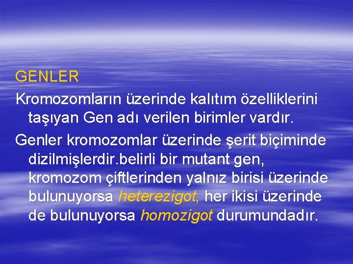 GENLER Kromozomların üzerinde kalıtım özelliklerini taşıyan Gen adı verilen birimler vardır. Genler kromozomlar üzerinde