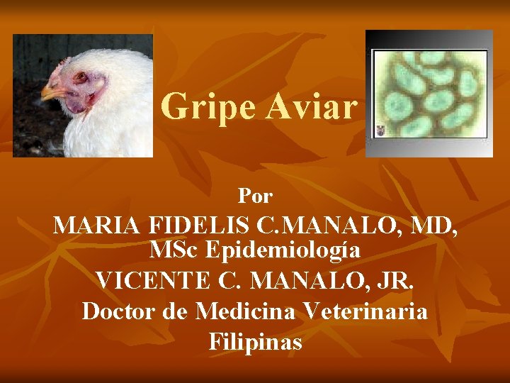 Gripe Aviar Por MARIA FIDELIS C. MANALO, MD, MSc Epidemiología VICENTE C. MANALO, JR.