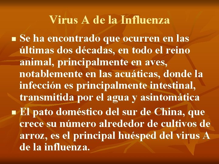 Virus A de la Influenza Se ha encontrado que ocurren en las últimas dos